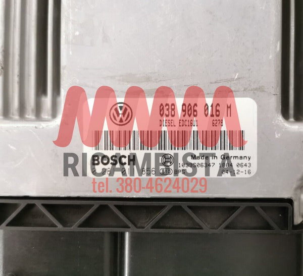 038906016M Volkswagen Transporter 1.9 centralina motore Bosch 0281011856