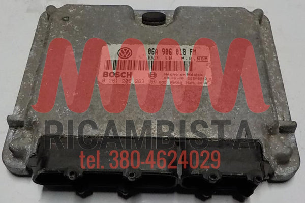 06A906018FM Volkswagen Beetle 2.0 centralina motore Bosch 0261206263