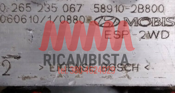 0265235067 Hyundai Santa Fe gruppo pompa ABS