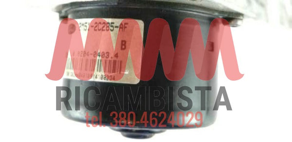 2M512C285AF Ford Transit Connect centralina gruppo pompa ABS Euro 189