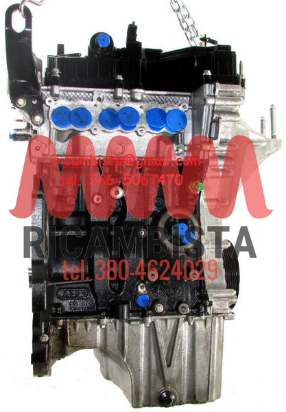 CA6G6007AC Ford Fiesta 1.0 benzina motore XMJA