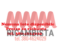 Dacia Logan catalizzatore 8200916976 8200916974